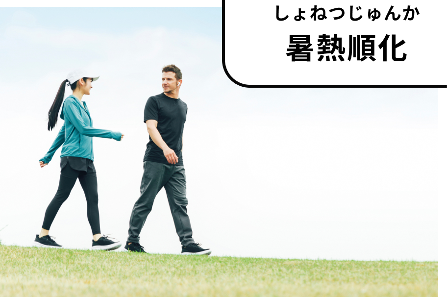 ウォーキングによる暑熱順化
