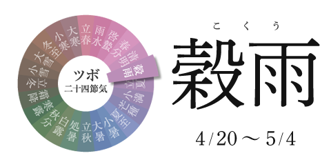 穀雨 4/20〜5/4