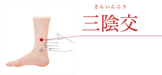 ツボ二十四節気 せんねん灸 ツボ二十四節気 せんねん灸