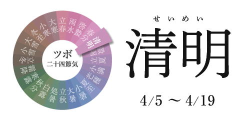 清明 4/5~4/19