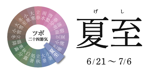 夏至 6/21~7/6