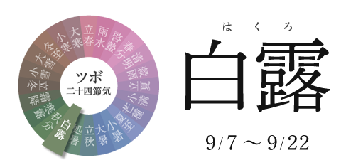 ツボ二十四節気 せんねん灸 ツボ二十四節気 せんねん灸