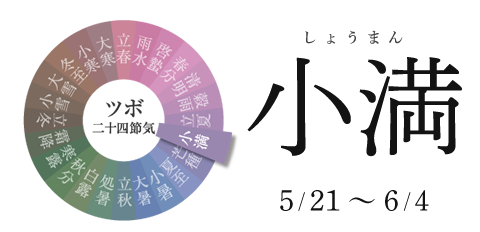 小満 5/21~6/4