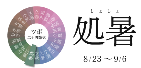 処暑 8/23~9/6