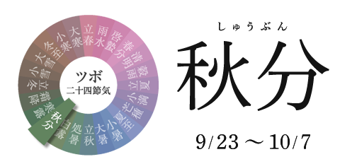 ツボ二十四節気 せんねん灸 ツボ二十四節気 せんねん灸