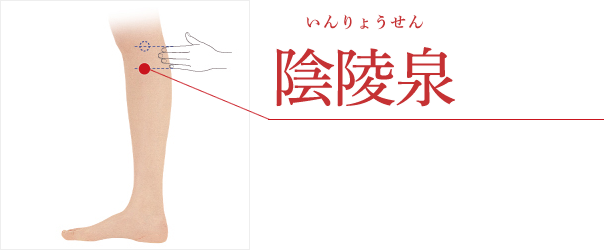 お灸で ひざ痛 ケア せんねん灸ショールーム銀座ブログ お灸で ひざ痛 ケア せんねん灸ショールーム銀座ブログ