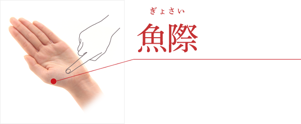 魚際(ぎょさい)