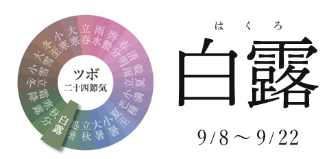 白露 9/8~9/22