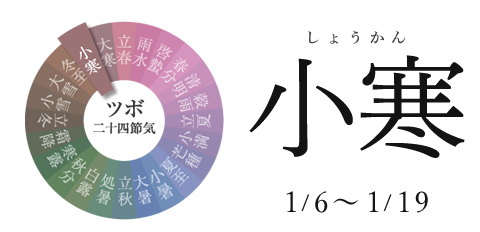 小寒 1/6~1/19