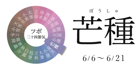 ツボ二十四節気 せんねん灸 ツボ二十四節気 せんねん灸
