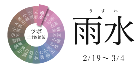 雨水 2/19~3/5