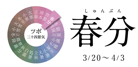 春分 3/20~4/3