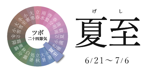 夏至 6/21~7/6