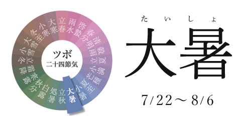 ツボ二十四節気 せんねん灸 ツボ二十四節気 せんねん灸