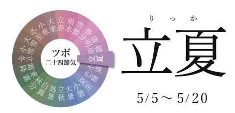 立夏 5/5~5/20