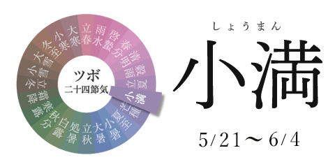 小満 5/20~6/4