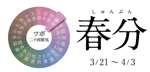 春分 3/21~4/3
