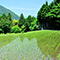 温溜(おんる)のツボ