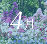 4月